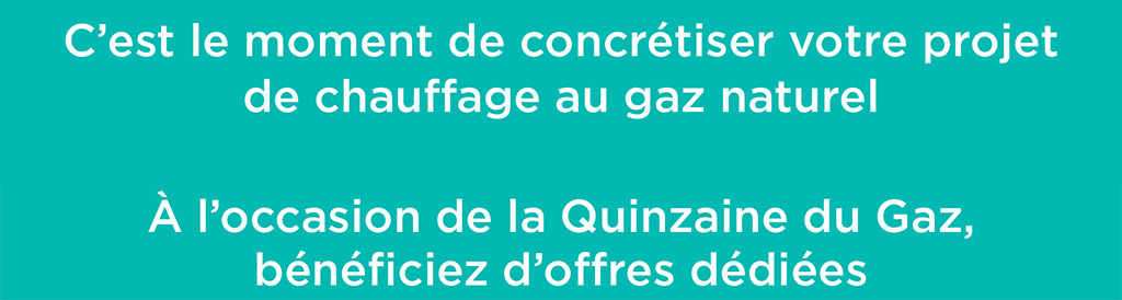 Cheminées gaz 