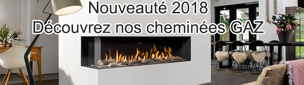 Cheminées gaz 